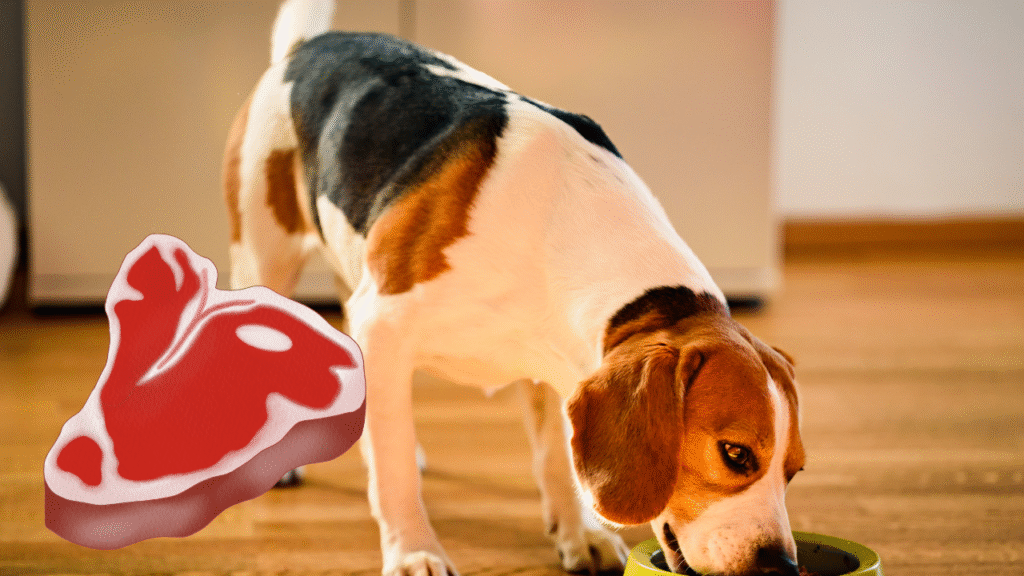 Can Dogs Eat Raw Beef Bones
