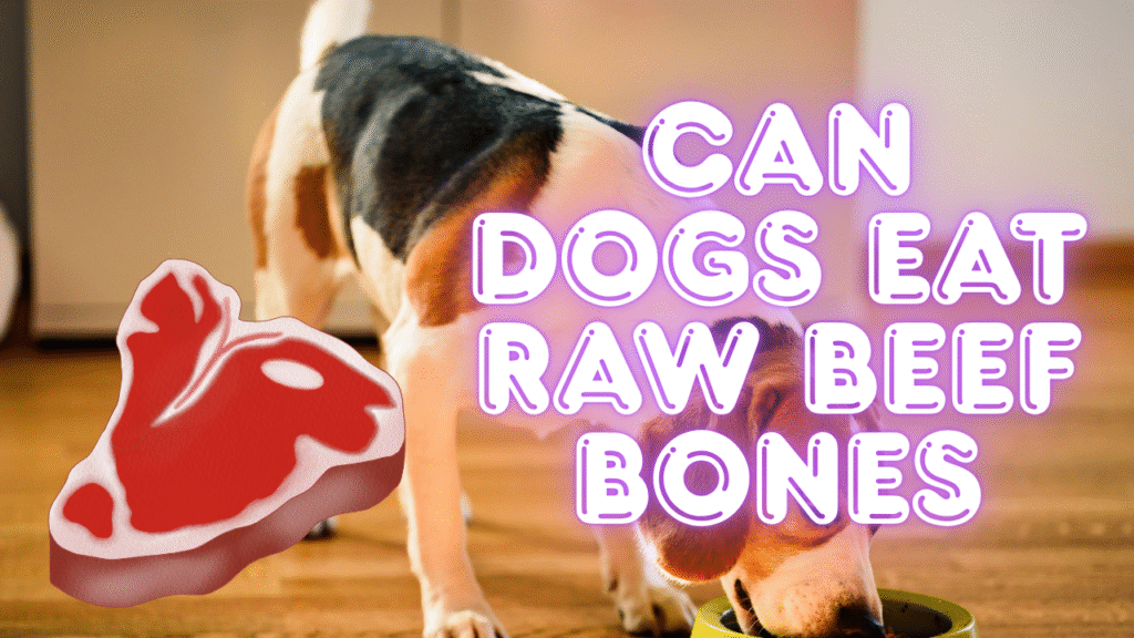 Can Dogs Eat Raw Beef Bones